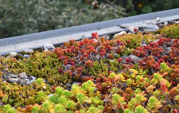the cost of Yeldersley Hollies green roof installation