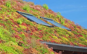 Yeldersley Hollies living roof systems
